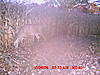 Question?? Big Boy Is Back-12c.jpg