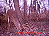 PA 9 pointer-9-point-nov-2009_5.jpg