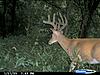 Pics from my cuddeback-2009-wolf-creek-9-pt.jpg