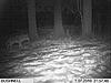 more Bushnell TC pictures-im000061.jpg