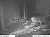 More Trophy Cam pics, same buck?-night.jpg