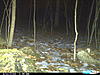 1st pic of fisher cat-cdy_0051.jpg