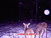 End of Jan pics-mdgc0003.jpg