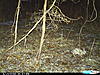 First Round Of Pics. Cudde Capture-cdy_0005.jpg