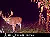  Largest buck pics!-8.jpg