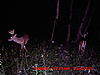 Look at this big massed 10 pt-030.jpg