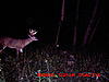 Look at this big massed 10 pt-020.jpg