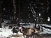 2010 Hunting Net Trail camera pictures!-c0000012sm.jpg