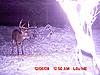  Largest buck pics!-mdgc0059-2-.jpg