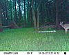 Ohio Antler Growth - end of April-4-30-10.jpg