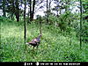 been a while-094.jpg