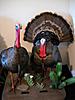 2005 grand slam mounts-bernie-s-turkey-mounts-2-003.jpg