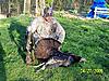 Turkey rifle ?-100_0534.jpg