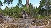 Buck Lake WMA Osceola Turkey scouting/hunting-me1.jpg