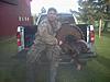 wny turkey hits the ground-turkey1.jpg