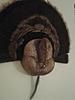 Turkey Feather Mount-bronzed-bust-wall.jpg