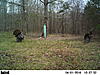 Display at the feerder-pict2093.jpg