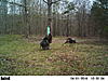Display at the feerder-pict2086.jpg