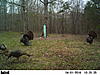 Display at the feerder-pict2075.jpg