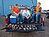 Kansas bird hunters, I need your help!!-232323232-fp73445_nu-_793_5-9_25__wsnrcg-34726-7-7634-nu0mrj-1-.jpg