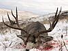 2020 deer hunts available-img_0843.jpg