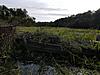 IL Duck Blind Brushed-20180929_160431-1-.jpg