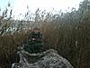 Mossy Oak Duck Blind or Mossy Oak Shadow Grass-dylan.jpg