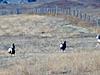 The Pictures from our 2014 Hunt Montana.-gedc0053-600x450-.jpg