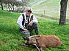 California Pig Hunting-pig3.jpg