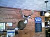 PA Boomer Buck - Pics-2009-boomer-2.jpg