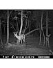 A few trail cam pics:-)-mdgc0020-1-.pdf