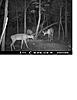 A few trail cam pics:-)-mdgc0014-1-.pdf