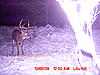 Score of This Buck?-mdgc0059.jpg