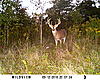 Anyone care to guess on a score? 130&quot; maybe?-sunp0543.jpg