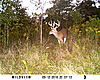 Anyone care to guess on a score? 130&quot; maybe?-sunp0541.jpg