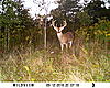 Anyone care to guess on a score? 130&quot; maybe?-sunp0542.jpg