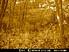 More Deer Age Pictures-10pointside.jpg