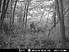 More Deer Age Pictures-8point-2..jpg