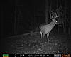 First year ever hunting, will he come back??-prms0071.jpg
