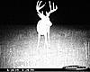 Score This Buck!!.!.!.!-064.jpg