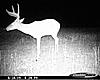 Deer Hunting Pics-068.jpg