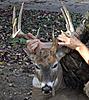 nice buck on public land-068.jpg1.jpg