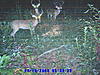 Deer Hunting Pics-group-photo.jpg