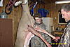 Son shot his first deer with bow and arrow-petra-002.jpg