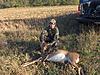 Deer Pictures-fdoe07.jpg