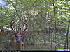 Deer Hunting Pics-face.jpg