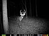 New Buck In My Area-prms0038.jpg
