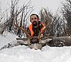 What Is It A Whitetail, Or A Muley?-mule-tail-deer.jpg