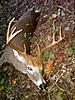 Another Great season done.-scott8bowkill2010.jpg