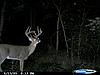 Look what I got on my cuddeback!!!-cdy_0015.jpg